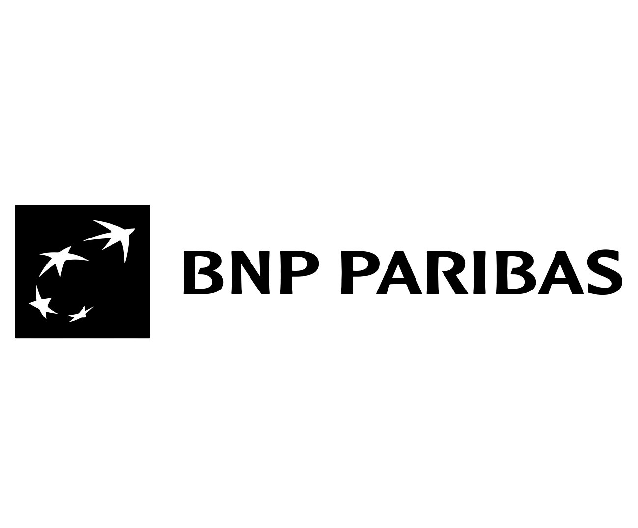 BNP Paribas Bank Logo Ekkiden