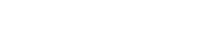 bnp-logo-white