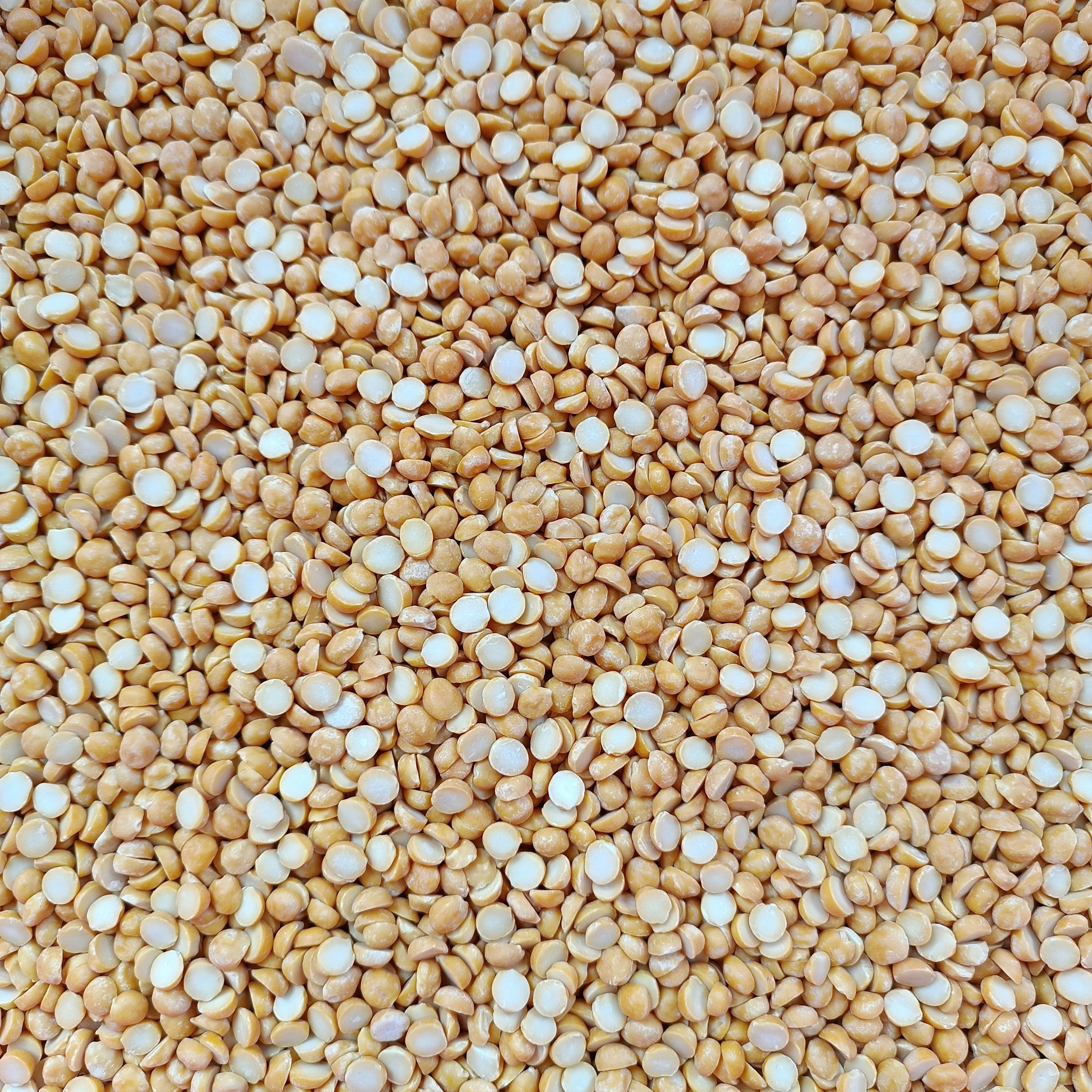 chirag-pithadiya-3zGTLKOWNCs-unsplash